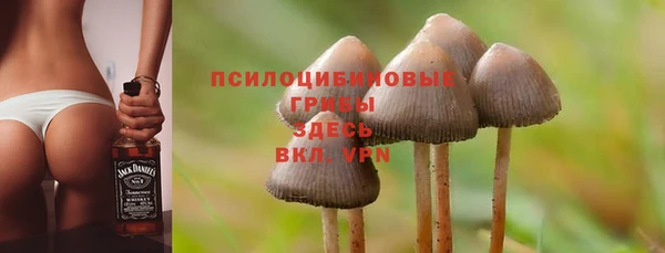 индика Вязники